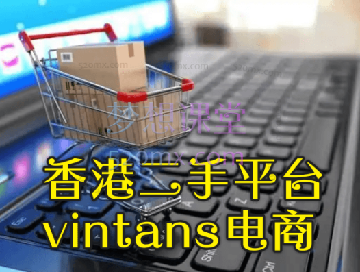 香港二手平台vintans电商实操