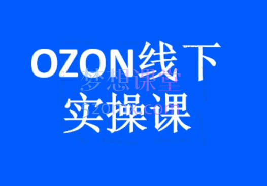 千鸟电商OZON两天实操课