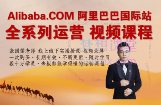 儒说alibaba线上实操运营VIP