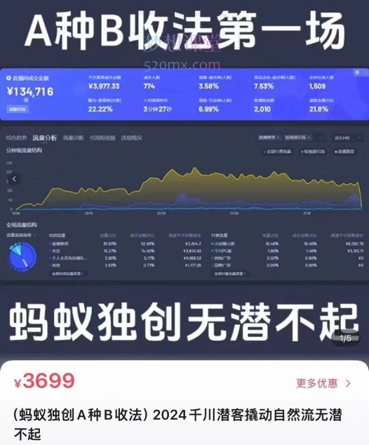 蚂蚁电商2024千川潜客撬动自然流