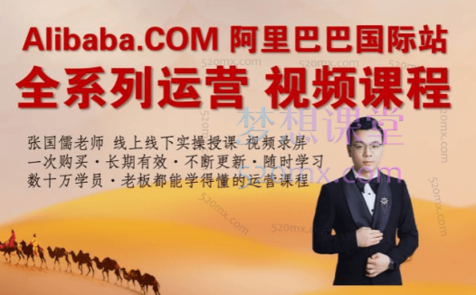 儒说alibaba线上实操运营VIP