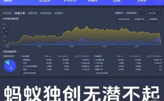 蚂蚁电商2024千川潜客撬动自然流