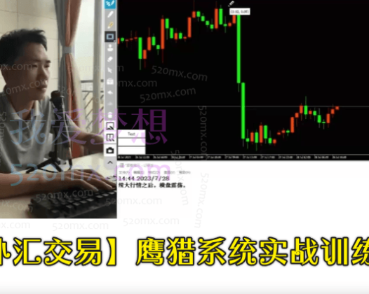 外汇交易鹰猎系统实战训练营