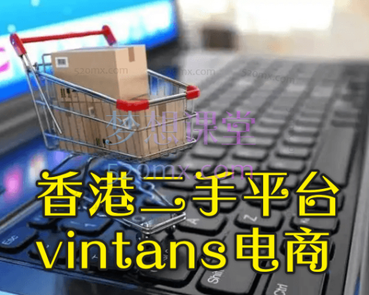 香港二手平台vintans电商实操