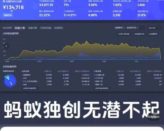 蚂蚁电商2024千川潜客撬动自然流