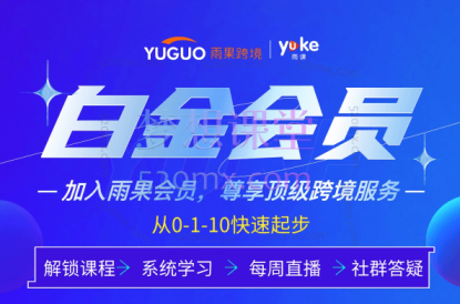 雨果跨境白金会员包括：亚马逊、阿里国际站、eBay、Google Ads、Lazada、Wish、Shopee独立站以及海外社媒等390.63G