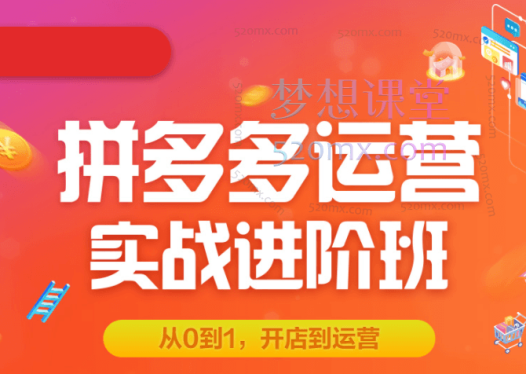 拼多多电商虚拟进阶课,学习高利润的多多虚拟玩法,利用电商思维进行选品+运营