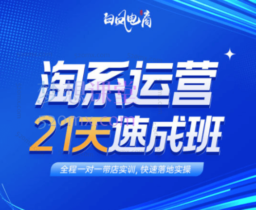 白凤电商:淘系运营21天速成班，新品五轮238付费高投产玩法（2024年9月）