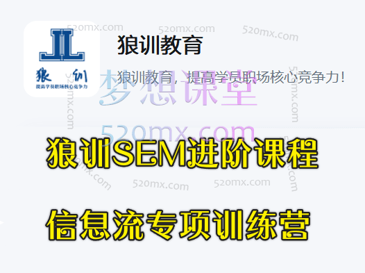 狼训SEM进阶课程+信息流专项训练营