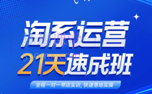 白凤电商淘系运营21天速成班【第30期】下半年旺季新品从0到1全流程(2024年8月)