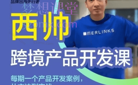 西帅跨境选品课+跨境产品开发课,深度讲解跨境