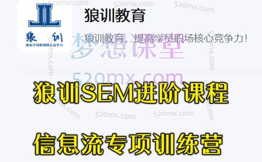 狼训SEM进阶课程+信息流专项训练营