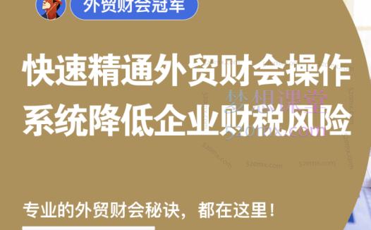 外土司外贸财会冠军，快速精准外贸财会操作系统降低企业财税风险