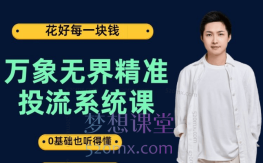 王天真万象无界精准投流系统课