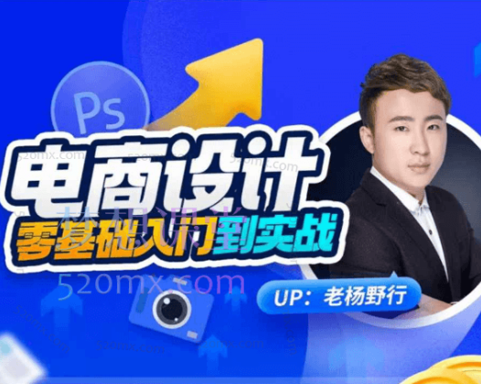 (老杨野行)电商设计零基础入门到实战，再到变现
