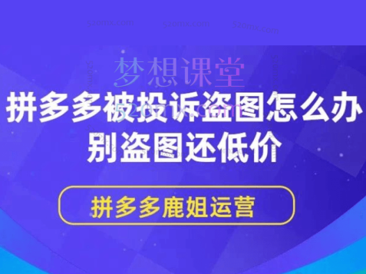 起诉拼多多盗图、盗款高级课程-拼多多图片保护