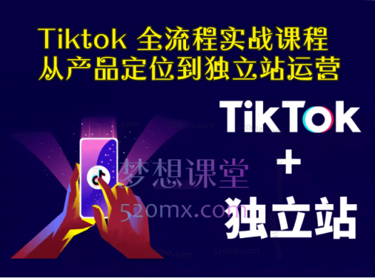 Tiktok 全流程实战课程:从产品定位到独立站运营