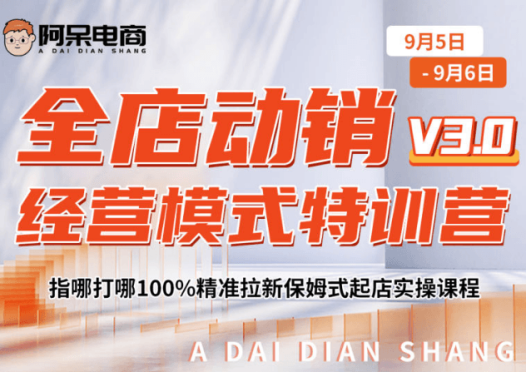 阿呆电商全店动销经营模式特训营