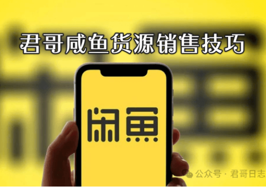 君哥日志闲鱼高客单价销售技巧，月入过万的副业金钥匙