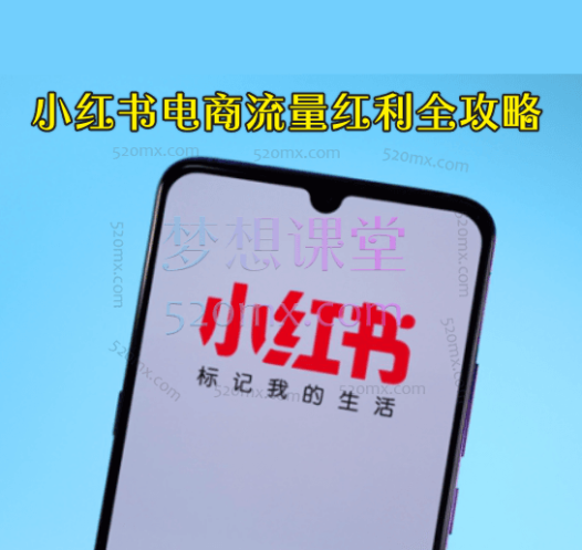 小红书电商流量红利全攻略：零基础开店到爆单卖货指南