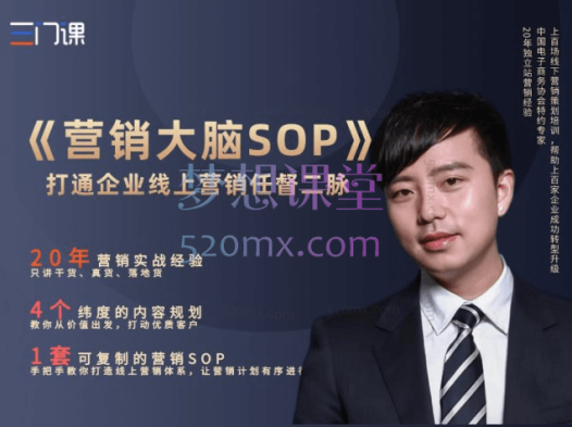 营销大脑SOP外贸营销全攻略:从定位到落地,全方位打造营销竞争力