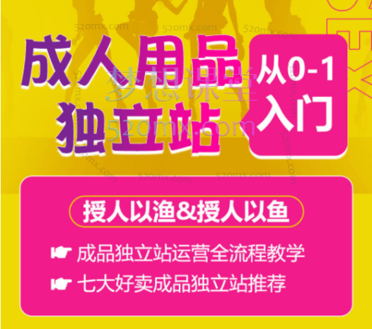 成人用品独立站从0-1入门,市场趋势分析、商业模式讲解、目标受众调研、竞对分析、选品、引流、高转化成人独立站打造,从0-1全面掌握独立站成品运营策略