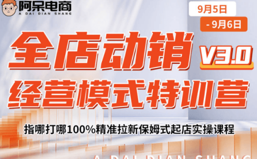 阿呆电商全店动销经营模式特训营
