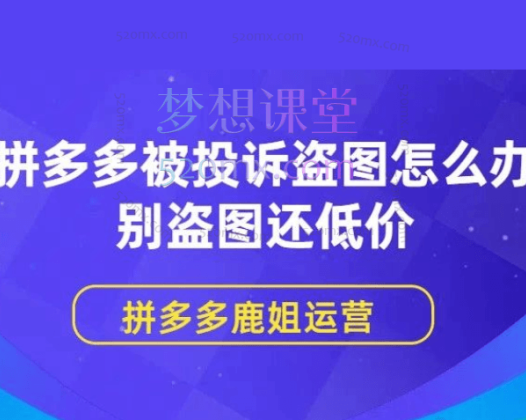 起诉拼多多盗图、盗款高级课程-拼多多图片保护