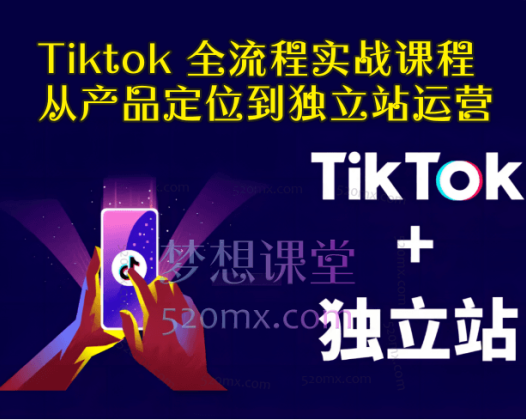 Tiktok 全流程实战课程：从产品定位到独立站运营
