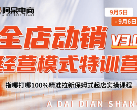 阿呆电商全店动销经营模式特训营