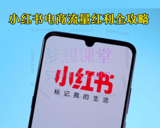 小红书电商流量红利全攻略：零基础开店到爆单卖货指南