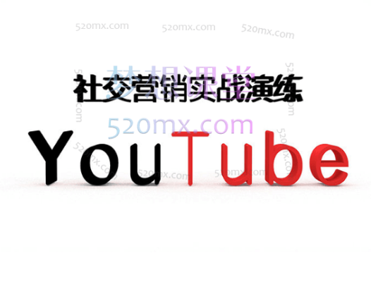 Youtube营销，社交营销实战演练，小蜜蜂外贸