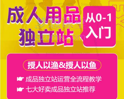 成人用品独立站从0-1入门，市场趋势分析、商业模式讲解、目标受众调研、竞对分析、选品、引流、高转化成人独立站打造，从0-1全面掌握独立站成品运营策略