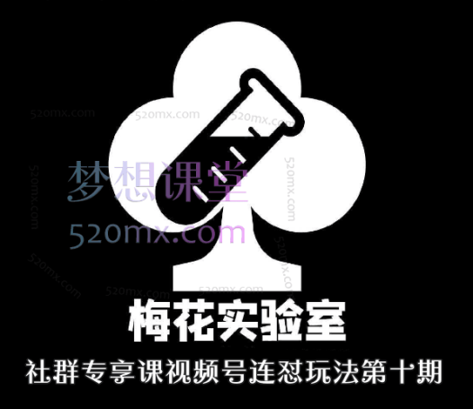 梅花实验室社群专享课视频号连怼玩法第十期课程+第二部分-FF助手全新高自由万能爆闪AB处理