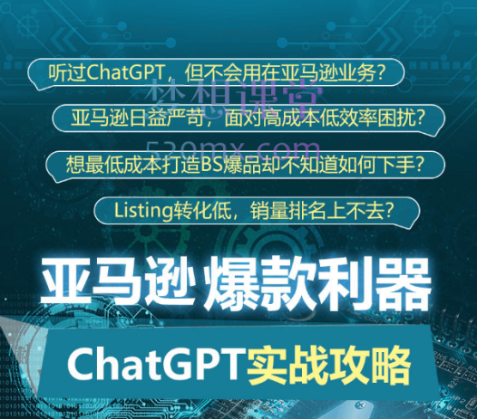 亚马逊爆款利器:ChatGPT实战攻略,以最低成本和最高效率打造BS爆品
