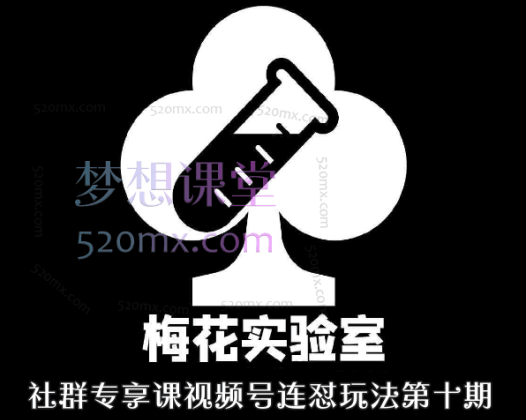 梅花实验室社群专享课视频号连怼玩法第十期课程+第二部分-FF助手全新高自由万能爆闪AB处理