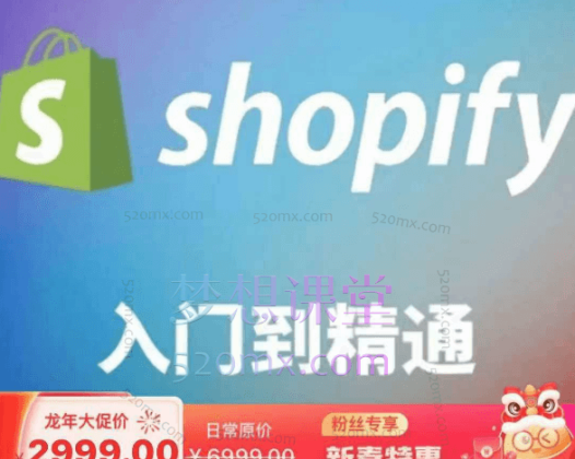 小观老师Tiktok+独立站0基础入门到精通