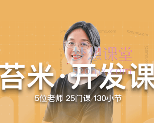 2025帮课大学苔米·开发课,思维拓展到实操技巧