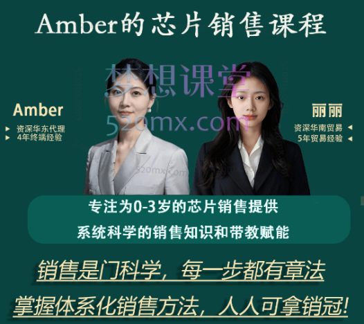 Amber的芯片销售系统课