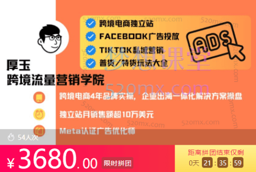 厚玉Aron跨境电商独立站及全域流量营销（视频+课件）