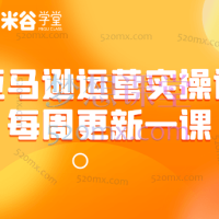 2021-2025米谷学堂亚马逊运营实操课：实战选品、广告优化与旺季策略解析