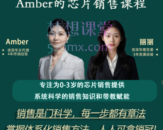 Amber的芯片销售系统课