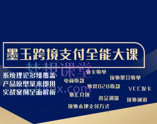墨玉跨境支付全能大课,实战案例全面解析