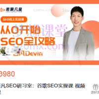 2025-2026若凡SEO研习室：谷歌SEO实操课视频课