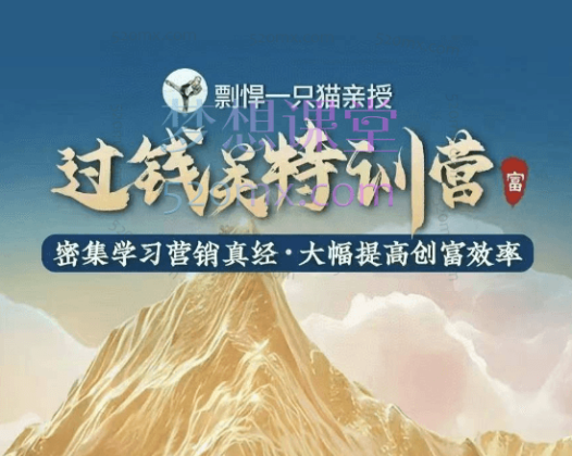 剽悍一只猫-过钱关特训营，学习营销真经 大幅度提高创富效率